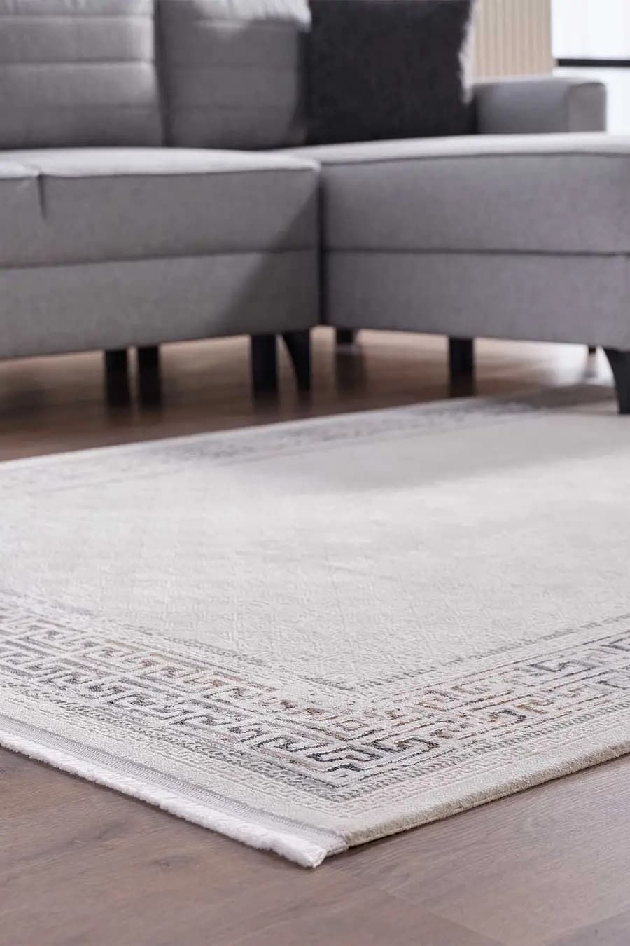 Lustiva 17807 Dikdörtgen Tozumaz Halı Mavi - 160x230 3